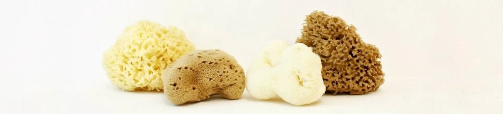Bath & Body Accessories