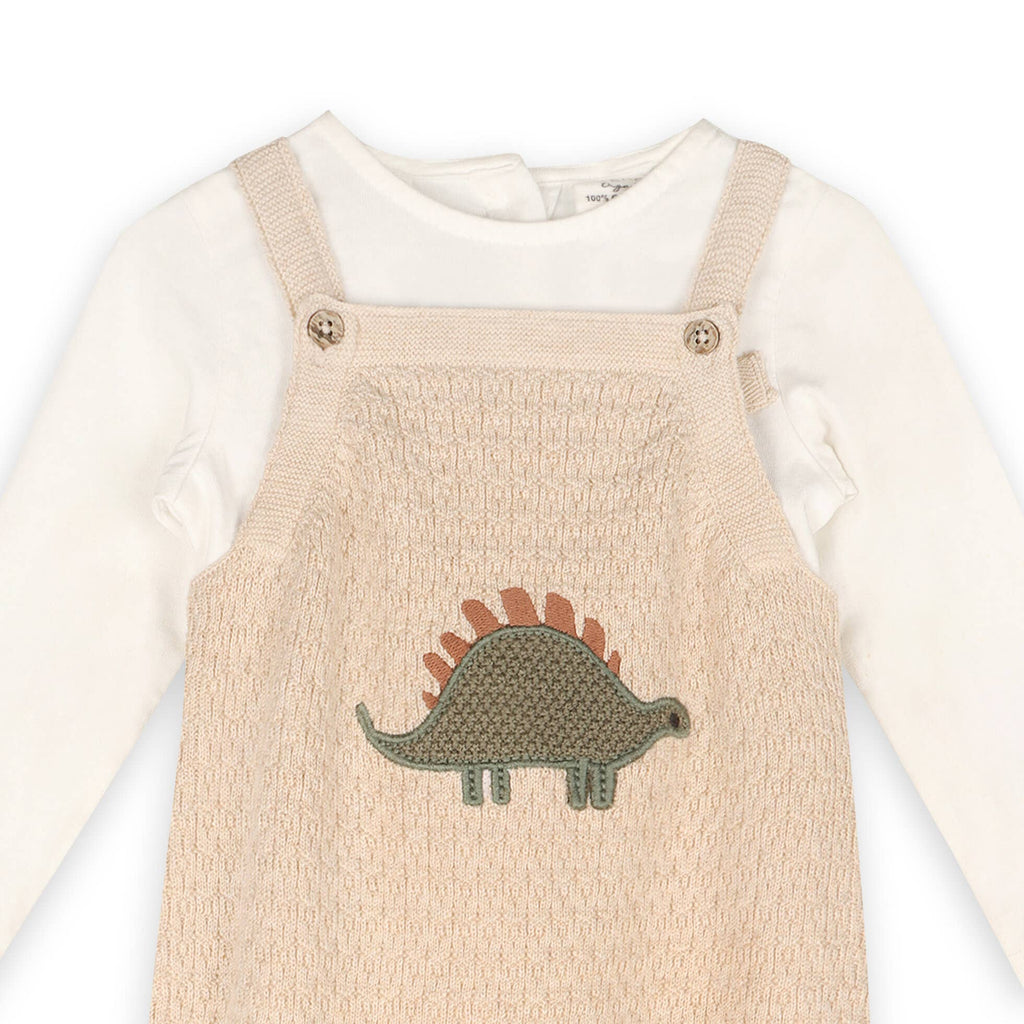 Dino Applique Baby Knit Overall Set