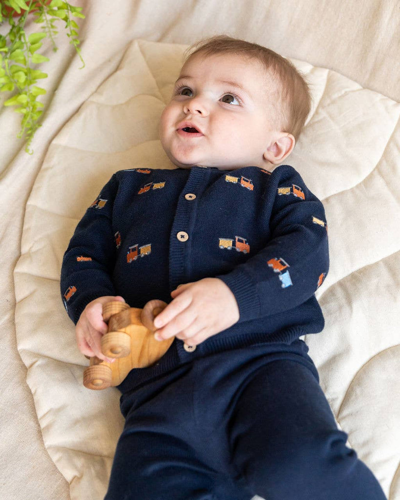 Train Embroidered Button Organic Cotton Sweater Knit Cardigan