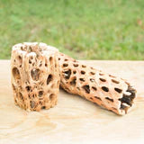 Natural Cholla Wood Container