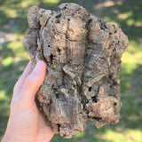Virgin Cork Bark