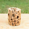 Natural Cholla Wood Container