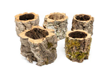 Natural Cork Bark Planters