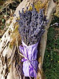 Hidcote Lavender Bundles
