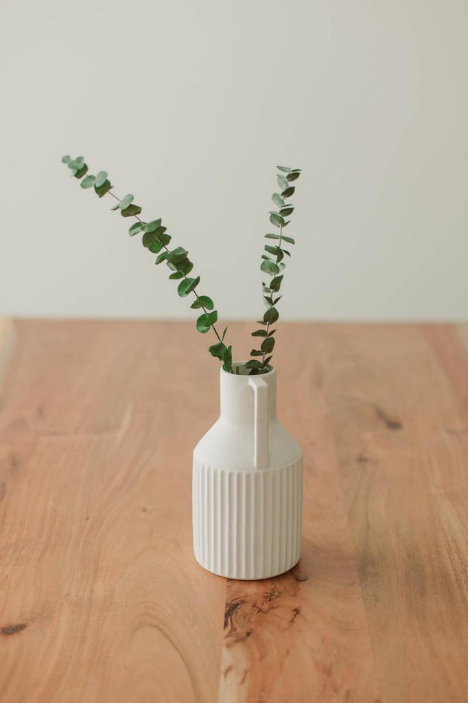 Preserved Eucalyptus Stems - Medium