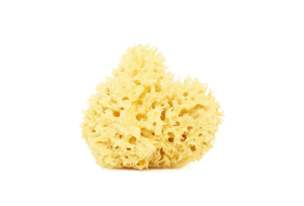 Naturally Bleached Body Sponge 6/8 gr