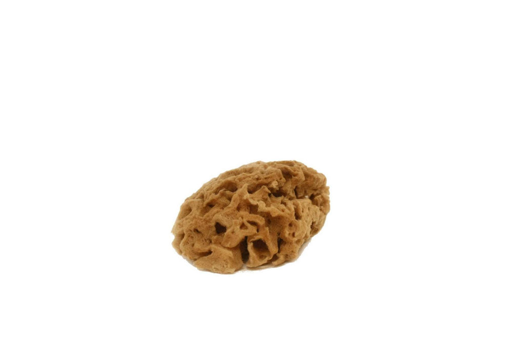 Washed Archipelago Face Sponge- 3/4 gr
