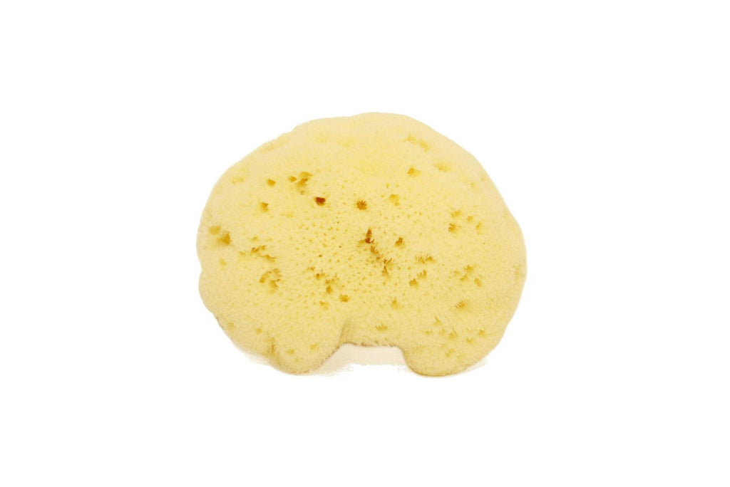 Fine Lady Face/Body Sponge 6/8 gr