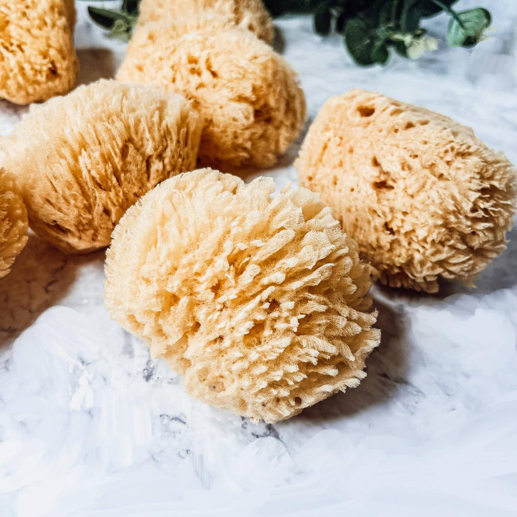 Dead Sea Sponge, All Natural Body Wash Loofah 4-5"