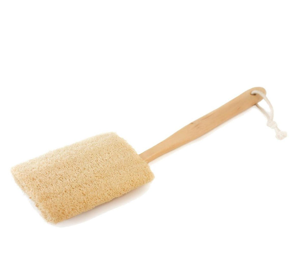 Loofah Brush with Removable Head